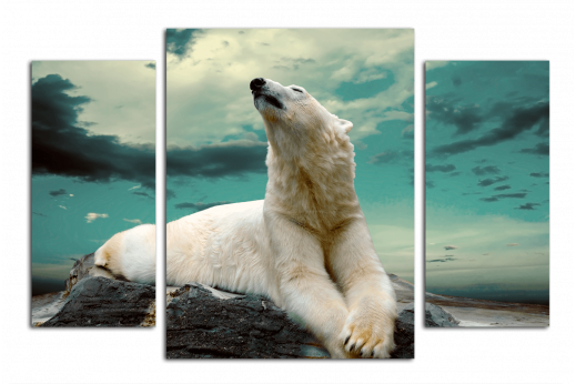 Модульная картина Белый медведь